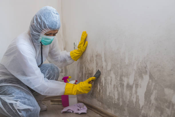 Best Crawl Space Mold Removal  in Prineville Lake Acres, OR